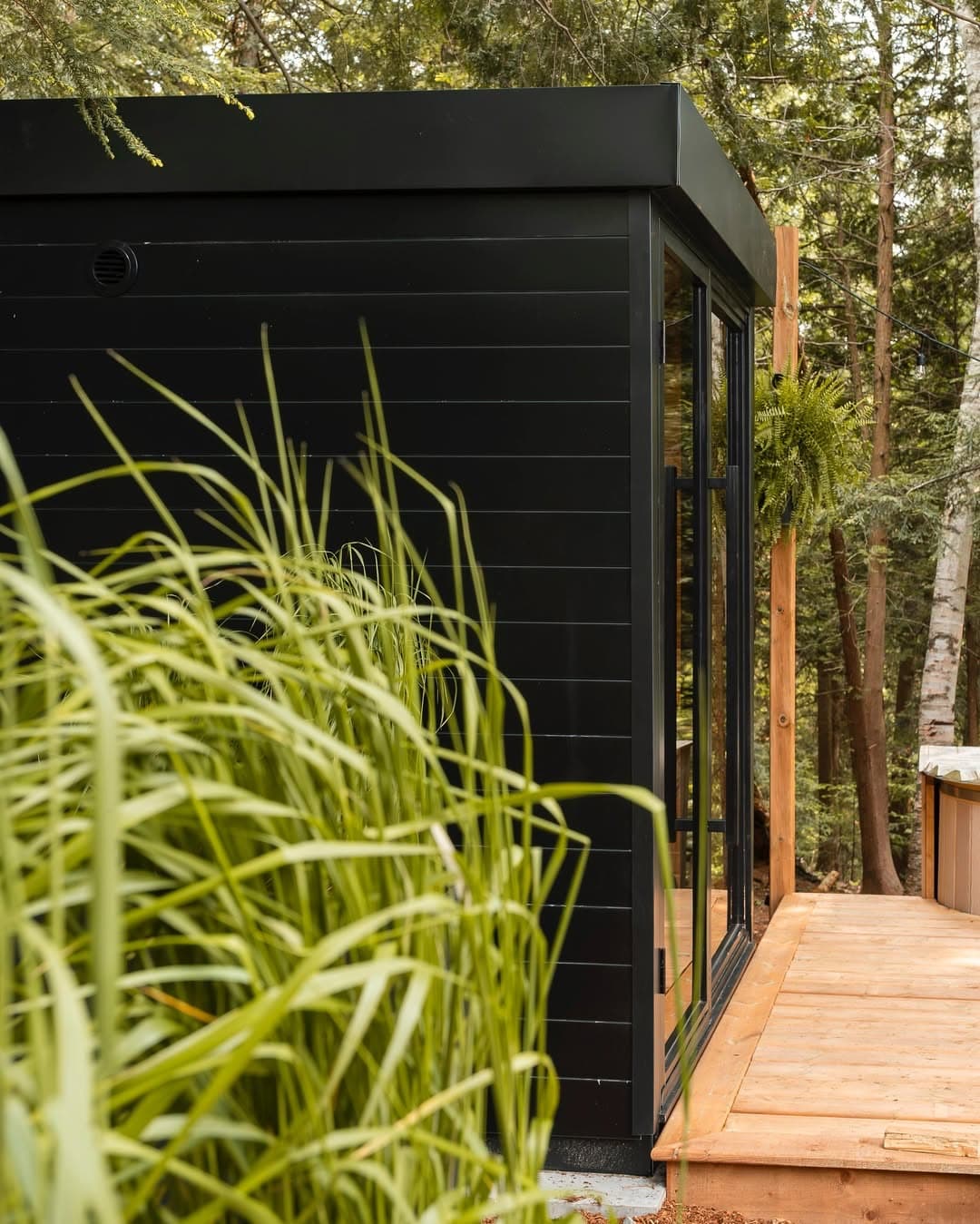 Sauna Studio Background